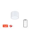 Immax NEO RONDATE Smart stropní svítidlo 15cm 12W bílé Zigbee 3.0