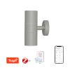 Immax NEO PARED double Smart šedé bodové nástěnné svítidlo venkovní 2x GU10 Zigbee 3.0