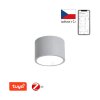 Immax NEO RONDATE Smart stropní svítidlo 15cm 12W šedé Zigbee 3.0