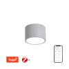Immax NEO RONDATE Smart stropní svítidlo 15cm 12W šedé Zigbee 3.0