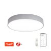 Immax NEO RONDATE Smart stropní svítidlo 80cm 65W šedé Zigbee 3.0