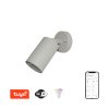 Immax NEO PARED Smart šedé bodové stropní nástěnné svítidlo venkovní GU10 RGB,CCT,WiFi