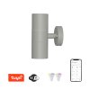 Immax NEO PARED double Smart šedé bodové nástěnné svítidlo venkovní 2xGU10 RGB,CCT,WiFi