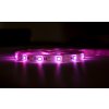 smart LED pásek RGB+CCT ovládaní mobilem 5m barevný+stmívatelný WiFi TUYA Dálk.ovladač, MUSIC