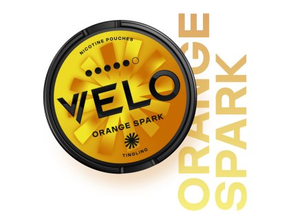 13967 1 13967 1 obrazek 2024 11 17 164533789