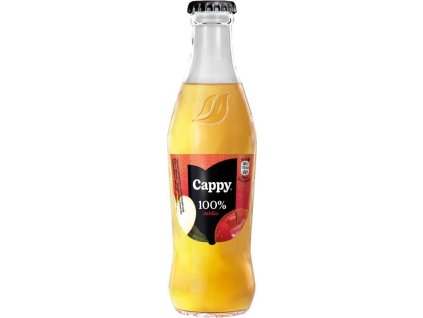 20567 1 cappy jablko 100 dzus 250ml sklo