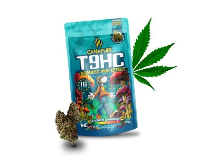 38780 1 blnc 0639479f 3724 4f0c 81ca 55766cac2b9f 1