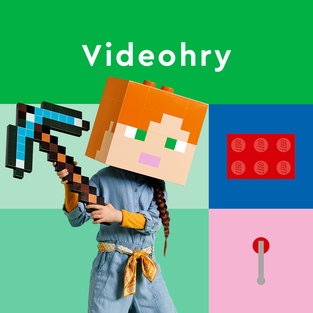 zajmy