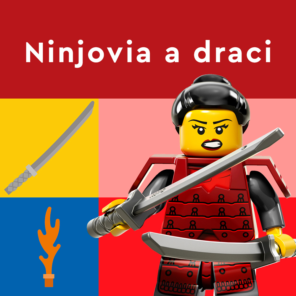 zajmy