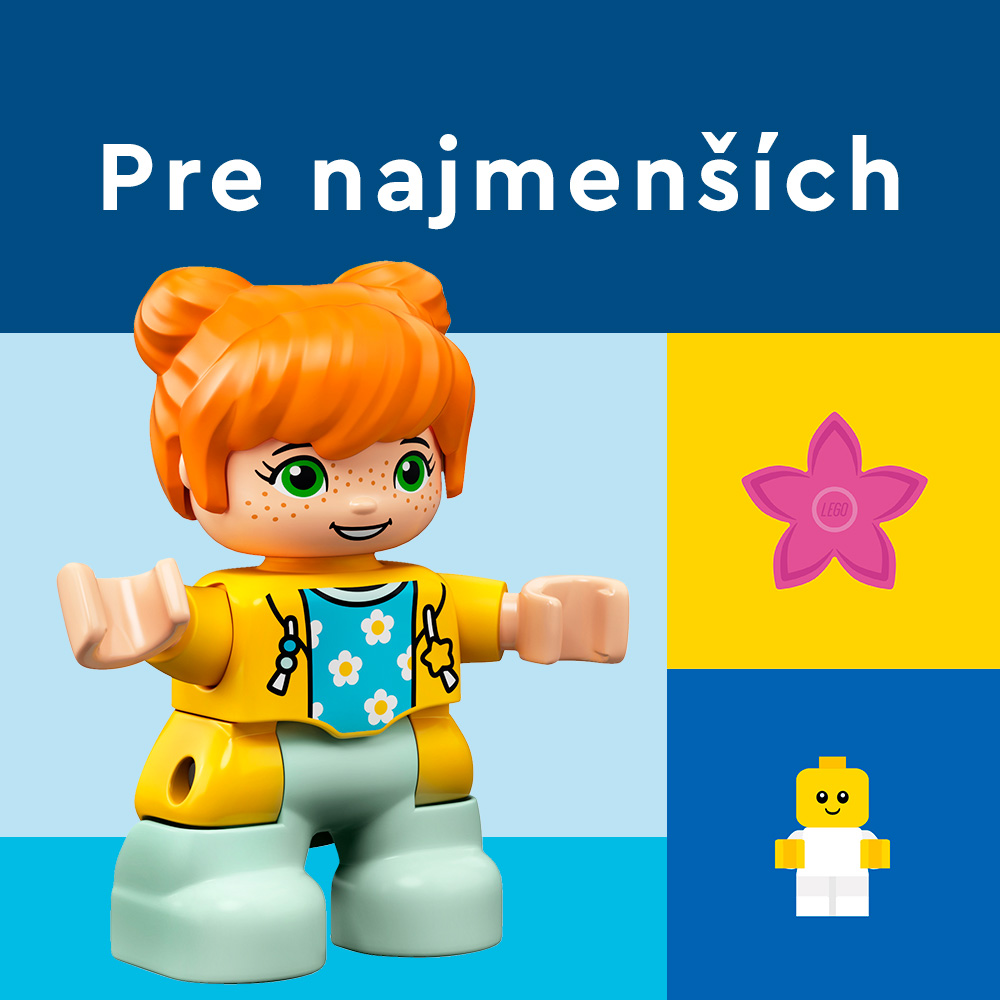 zajmy