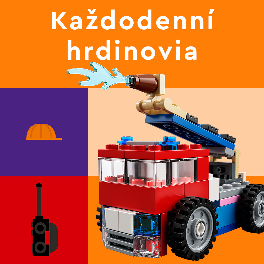zajmy