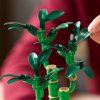 LEGO® Botanicals 10344 Bambus šťastia