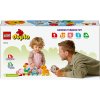 LEGO® Duplo 10412 Vláčik so zvieratkami