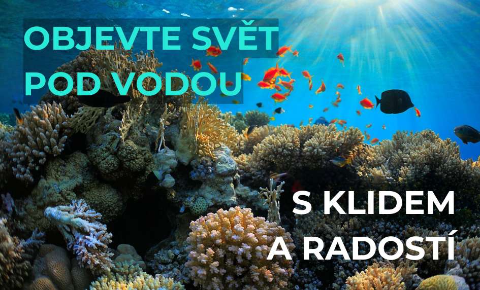kurz potápění | PADI | OWD | Open Water Diver | akce | sleva | Vánoce