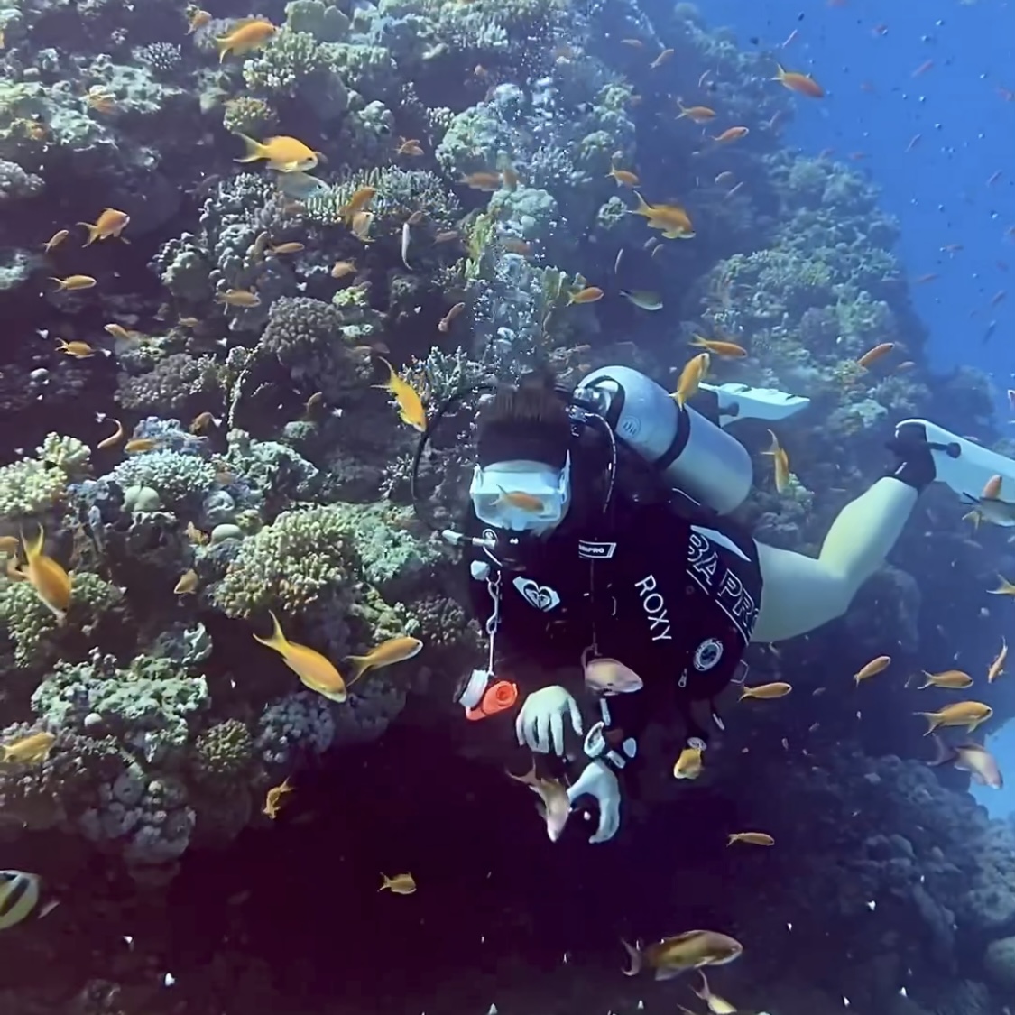 Potápěčka z Max Dives při ponoru v Egyptě v rámci kurzu PADI Peak Performance Buoyancy