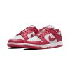 Dunk Archeo Pink 2