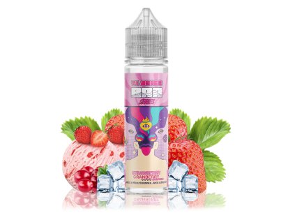 STRAWBERRY CRANBERRY ICECREAM2