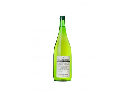 Hebenstreit GV 1l