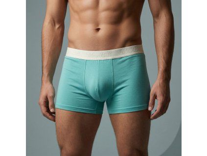 Boxerky PAUL mint (poslední kus vel. M)