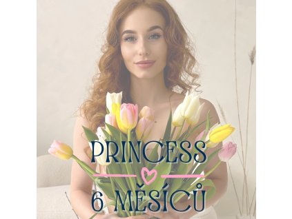 PRINCESS 6M