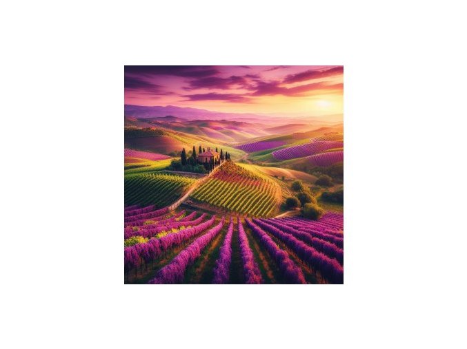 Tuscan Vineyard - vzorek