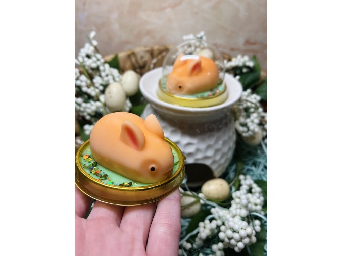 Spicy Apricot Jam - zajíček