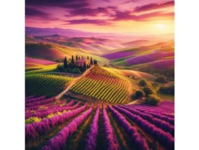 Tuscan Vineyard - vzorek