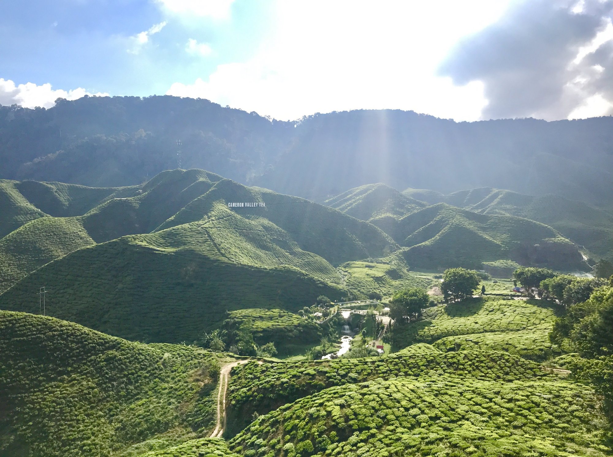CESTA DO CAMERON HIGHLANDS - DEN TŘETÍ - LEDEN 2019