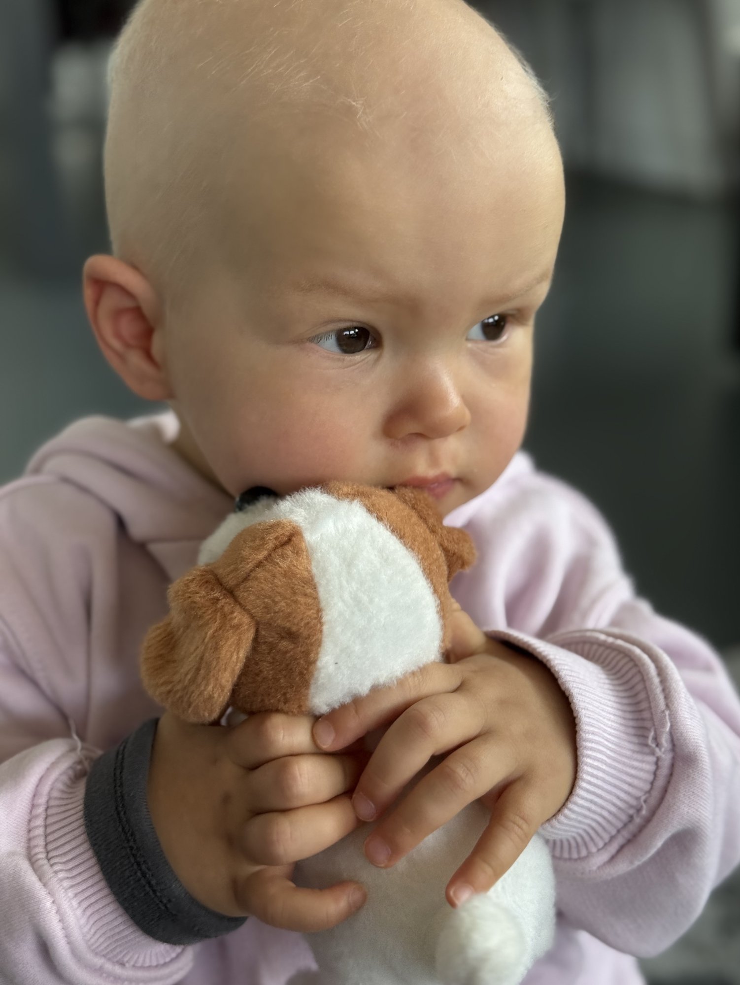 IVF - ŠTĚSTÍ NEBO PROKLETÍ?