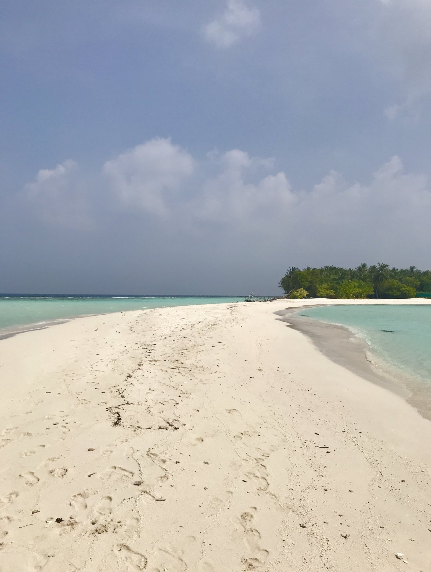 OMADHOO - DEN 20 - LEDEN 2019