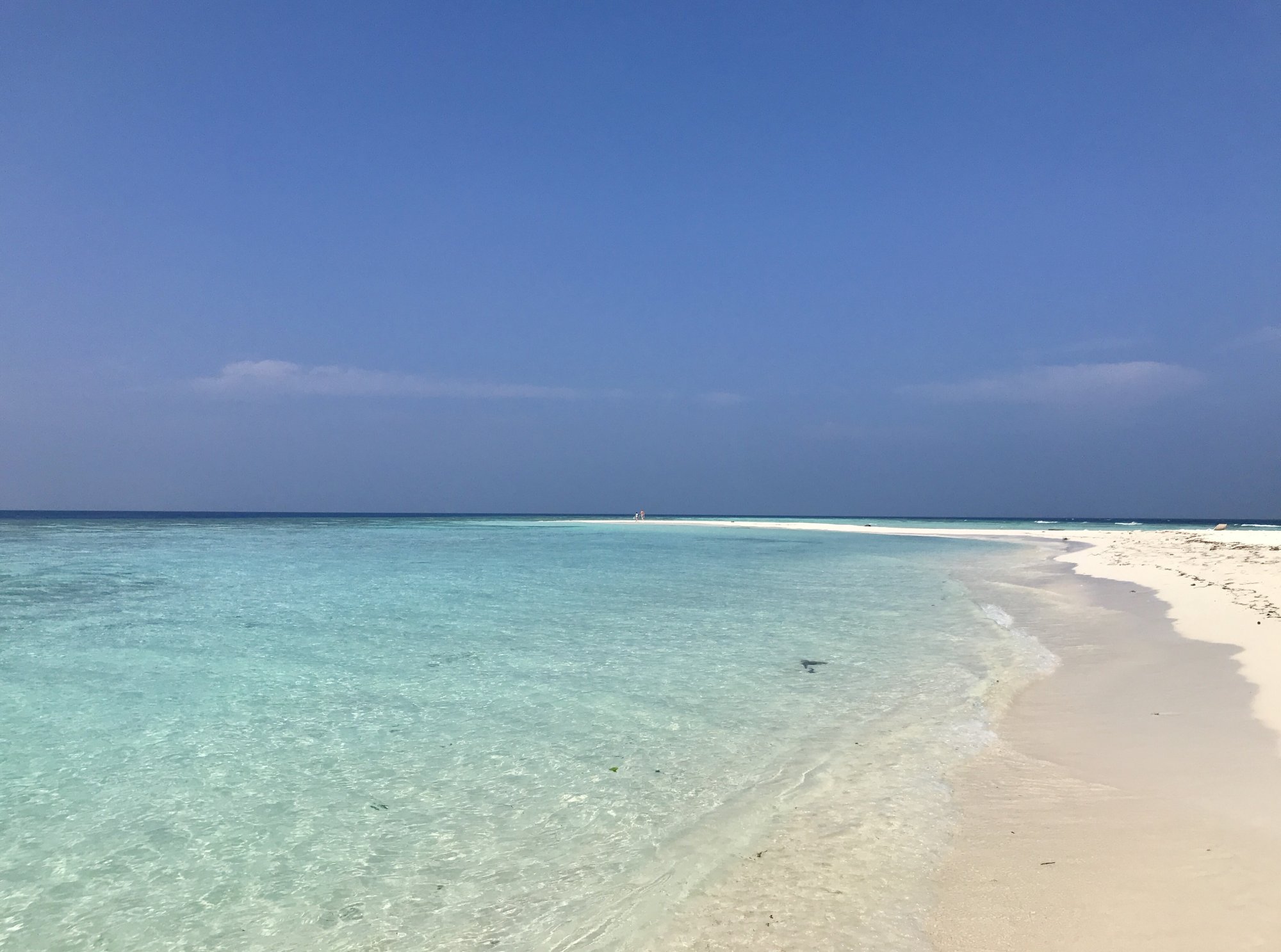 OMADHOO - DEN 15 - LEDEN 2019