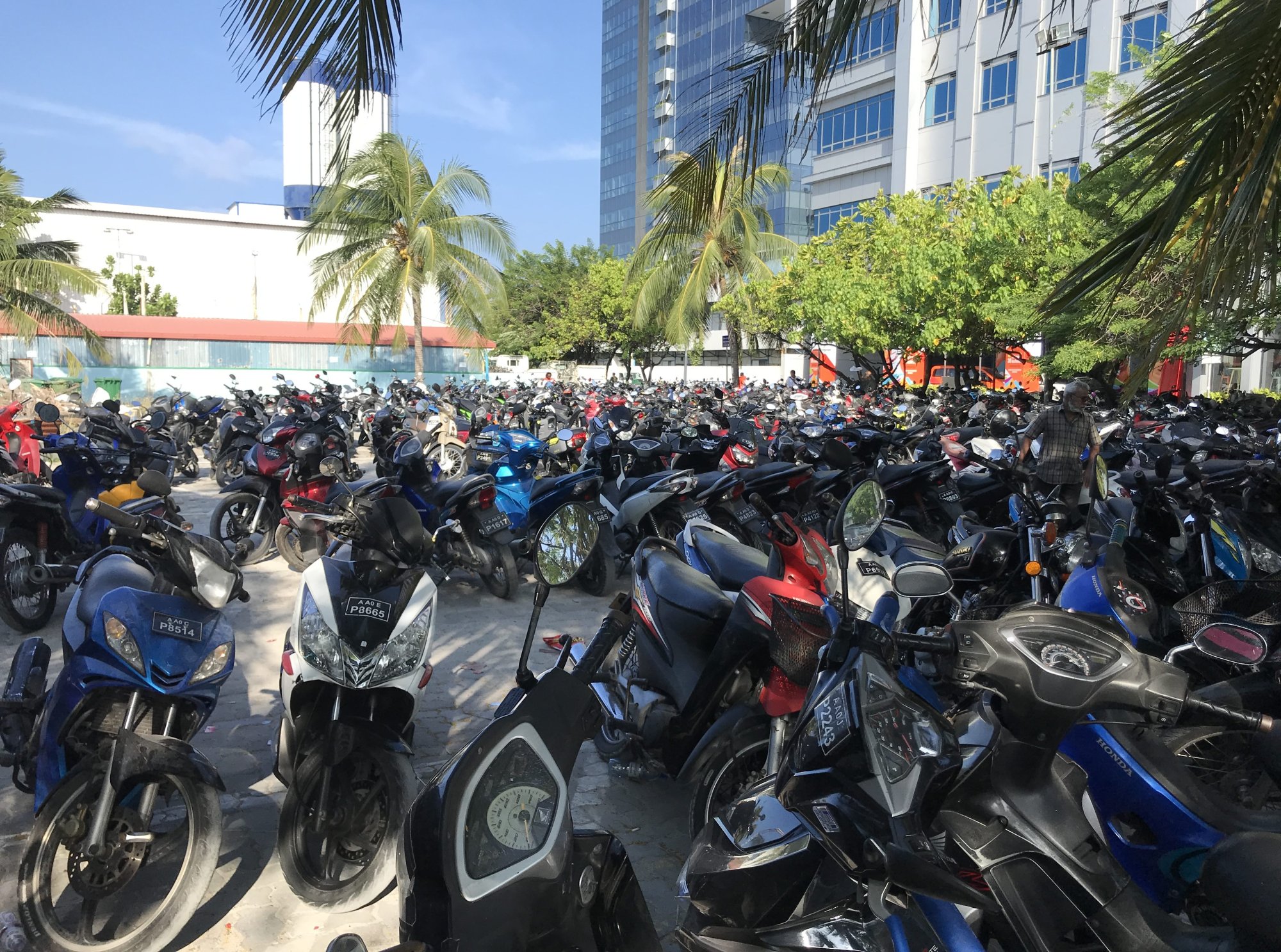 MALE A CESTA NA OMADHOO - DEN 14 - LEDEN 2019