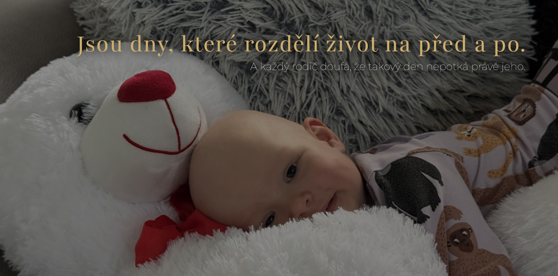 6 - Plešounek