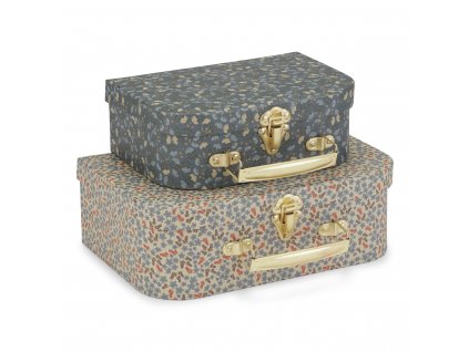 KS1474 2 PACK SUITCASE CHAMP BLEU NUIT DES FLEURS Extra 0