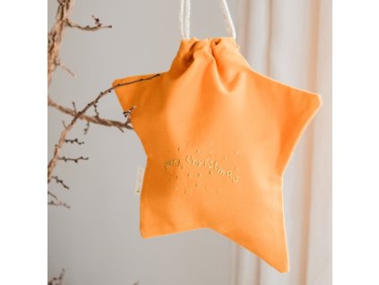 FB1289 Gift Bag Star Inca Gold Extra 3