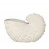 fermLIVING Váza ve tvaru mušle Shell  fermLIVING Shell Pot