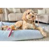 orthopedic dog bed bliss light blue bowlandbonerepublic l2c 1 1024x691