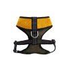 dog harness candy yellow bowlandbonerepublic p2 1024x683