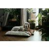 dog sleeping bag bliss pink bowlandbonerepublic l1 1024x683