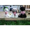 dog sweater aspen pink bowlandbonerepublic l8 1024x683