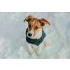 dog sweater snowflake navy bowlandbonerepublic l2 1024x683 kopie