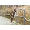dog harness breeze yellow bowlandbonerepublic l1