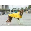 dog raincoat storm yellow bowlandbonerepublic l1 1024x683