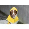 dog raincoat storm yellow bowlandbonerepublic l2 1024x683 (1)