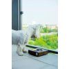 dog bowl solo amber bowlandbonerepublic l1 683x1024