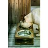 dog bowl grande amber bowlandbonerepublic l1