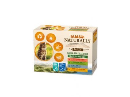 Iams Cat Adult mix masa v omáčce pack 12x85g