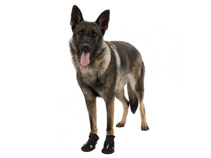 Ochranné boty WALKER ACTIVE L 2 ks (labrador)