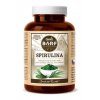 Canvit BARF Spirulina 90g