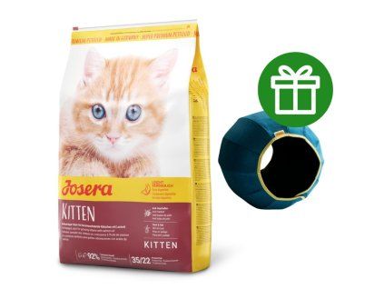 81537 81537 kitten